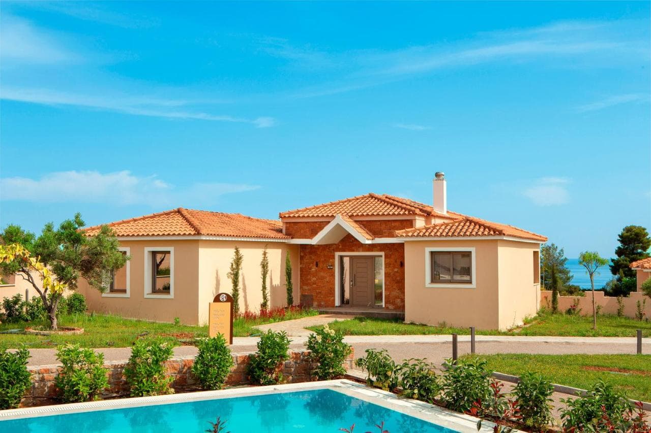 Zeus Eleva Ajul view 6