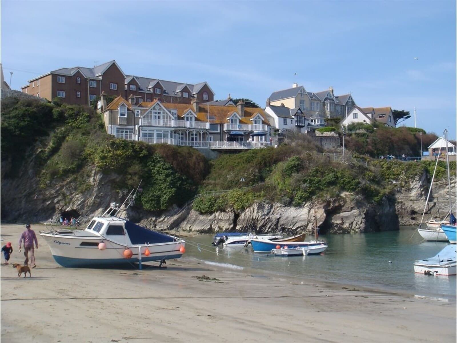 The Harbour – photo 5